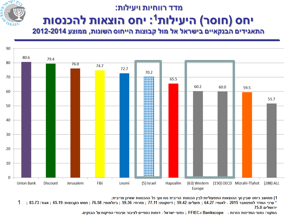 מדד רווחיות ויעילות: יחס הכנסות להוצאות