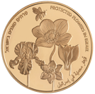 R פרחים מוגנים 10 שח זהב
